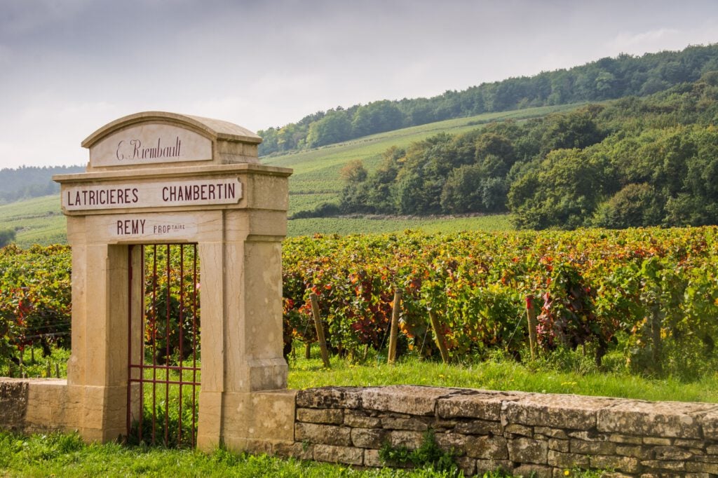 Gevrey-Chambertin