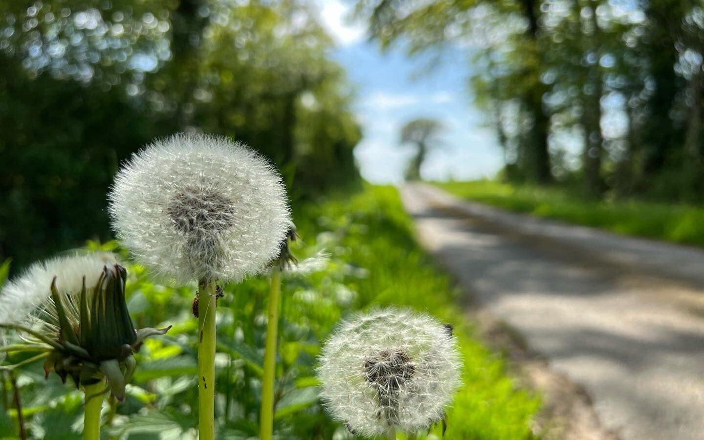 Wandelvakantie Frankrijk Creuse Veï Lou Quéri
