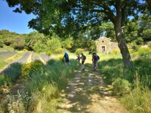 Wandelen lavendelvelden Drôme Provençale Au Rêve Chatoyant