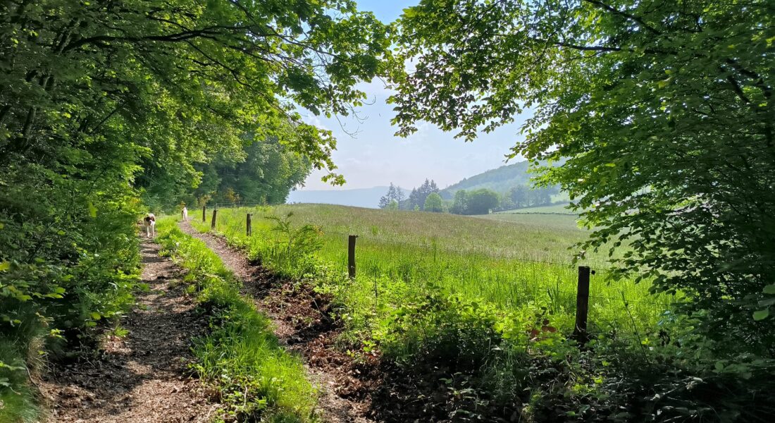 Wandelen Morvan Arrangement Montjouan