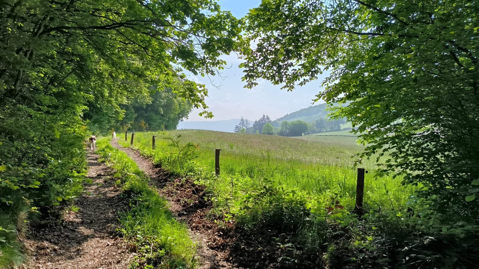 Wandelen Morvan Arrangement Montjouan