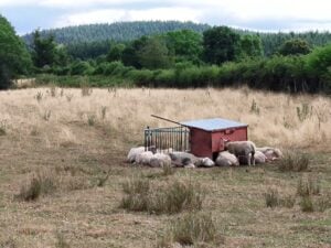 Wandelen Morvan arrangement chambres d'hôtes