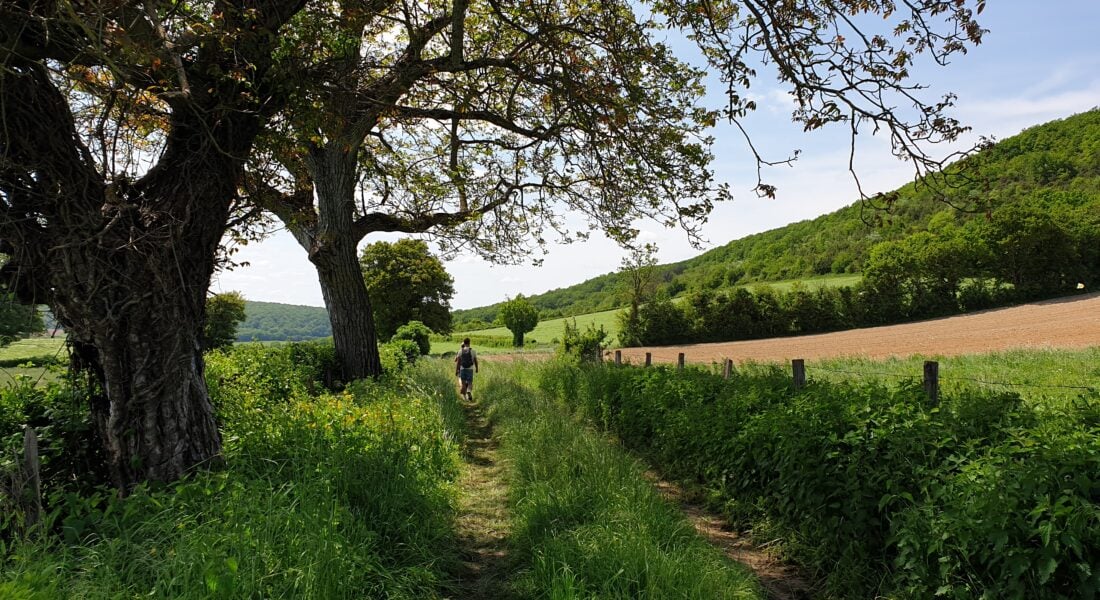 Nièvre wandelen