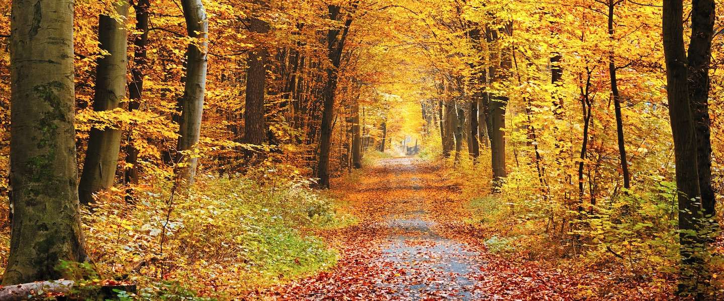 herfst noord-frankrijk chambres d'hôtes