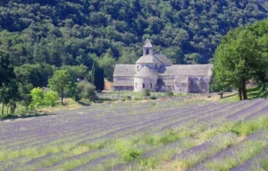 Luberon Provence chambres d'hôtes