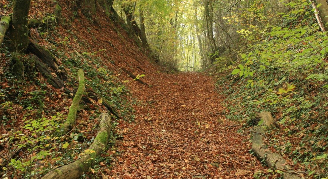 Wandelen noord frankrijk