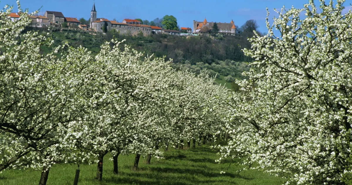 Wandelen Frankrijk Meuse Le Ciel Bleu
