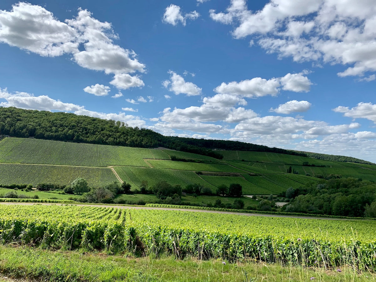 Champagne chambres d'hôtes