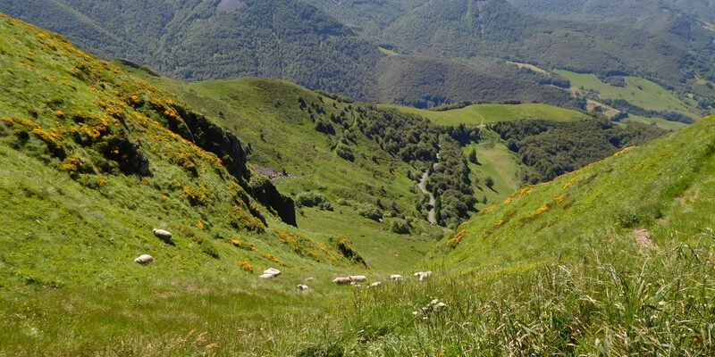 Wandelen Cantal