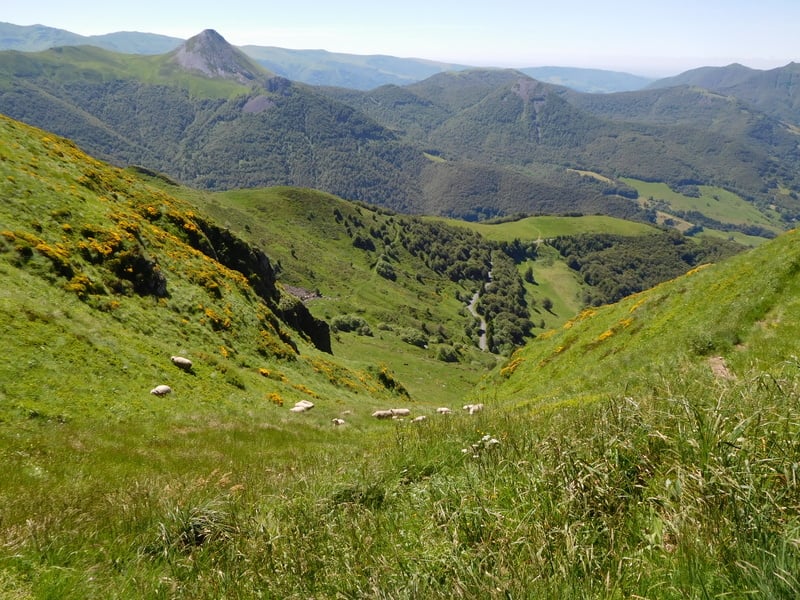 Wandelen Cantal