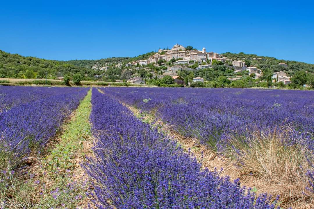 Luberon Provence chambres d'hôtes