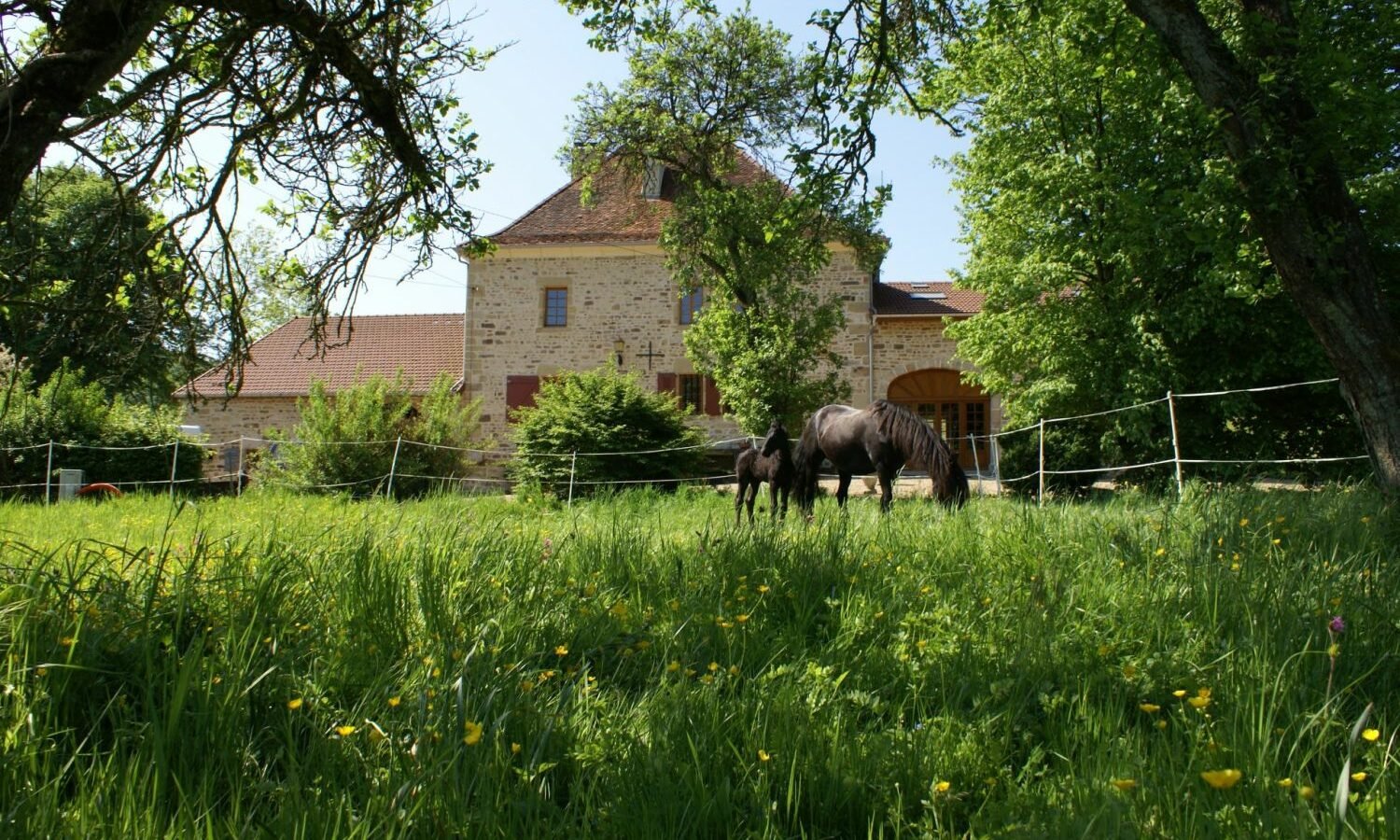 Chambres d'hôtes Haute-Marne tussenstop